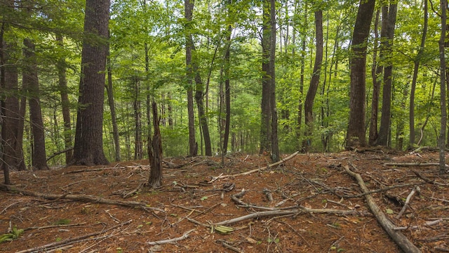 5620 Lost Dr, Roanoke, VA 24018