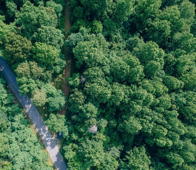 0 Reid Rd, Lexington, VA 24450