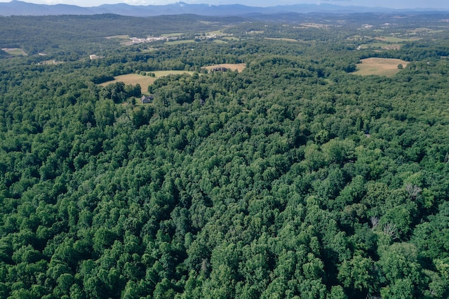 0 Reid Rd, Lexington, VA 24450
