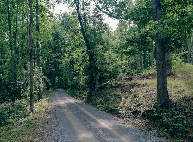 0 Reid Rd, Lexington, VA 24450