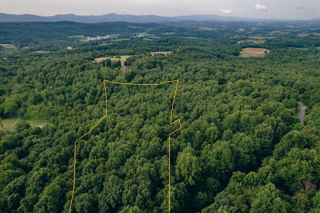 0 Reid Rd, Lexington, VA 24450