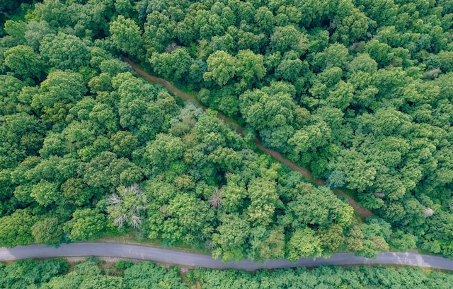 0 Reid Rd, Lexington, VA 24450