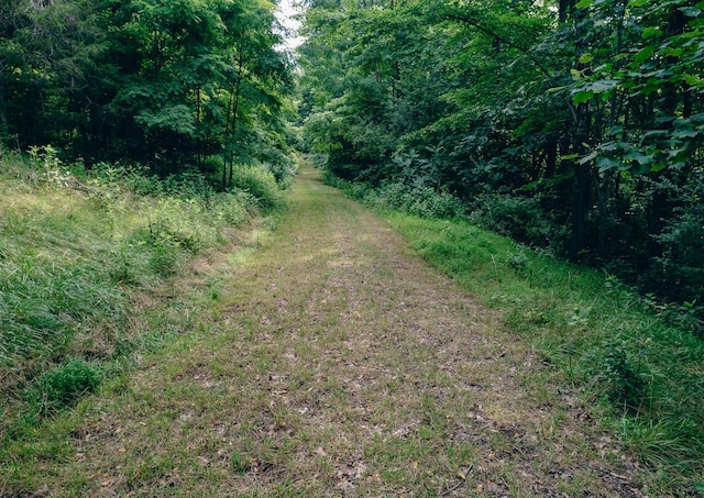 0 Reid Rd, Lexington, VA 24450