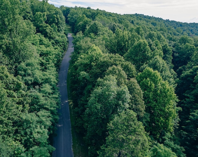 0 Reid Rd, Lexington, VA 24450