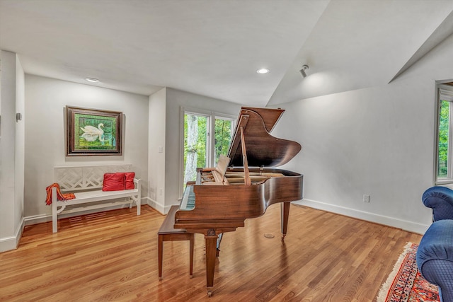 miscellaneous room featuring light hardwood / wood-style floors and vaulted ceiling