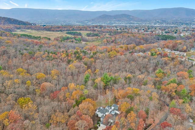 view of mountain feature