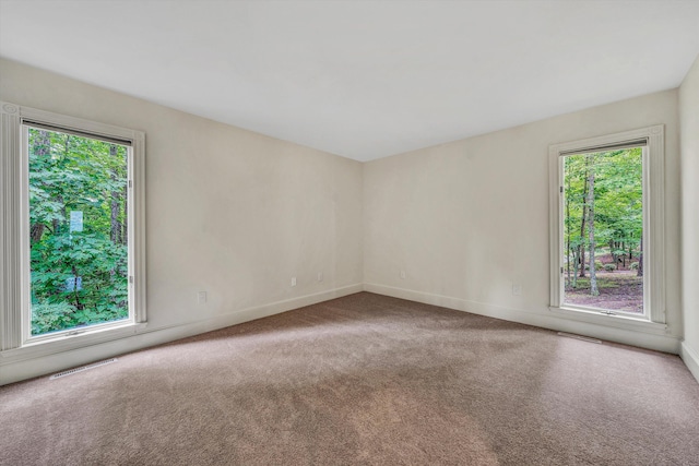 empty room featuring carpet flooring and plenty of natural light