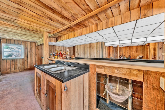 kitchen with carpet flooring, a sink, and wood walls