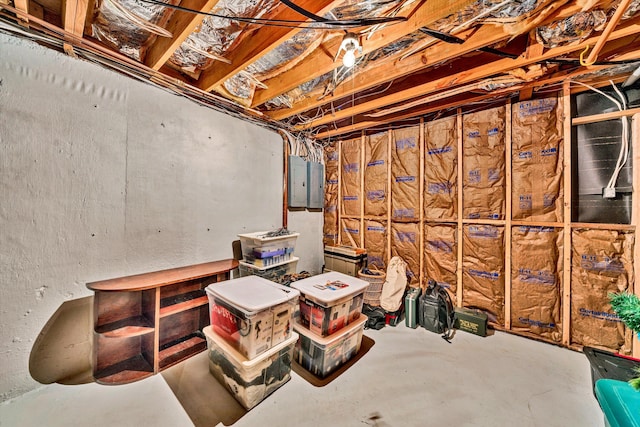 unfinished basement featuring electric panel