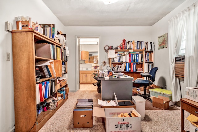 carpeted office space with sink