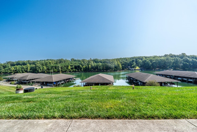 water view featuring a boat dock