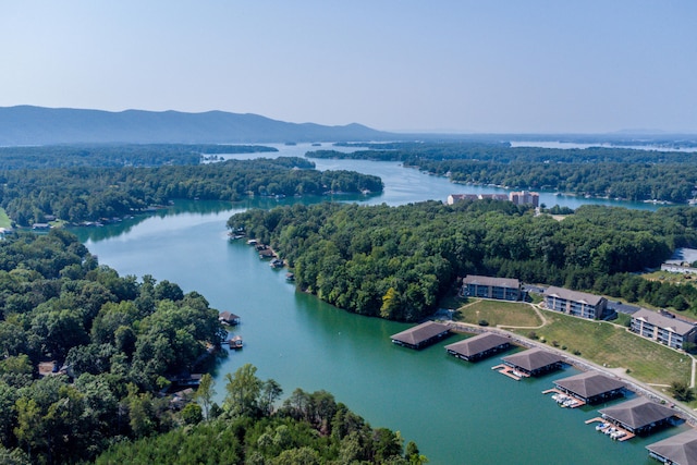 drone / aerial view with a water and mountain view