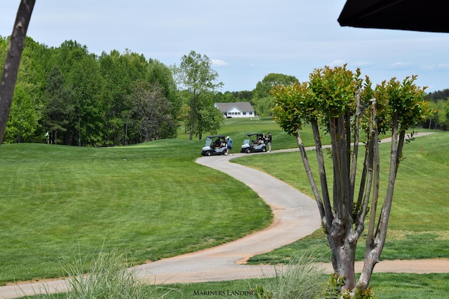 view of home's community featuring a yard