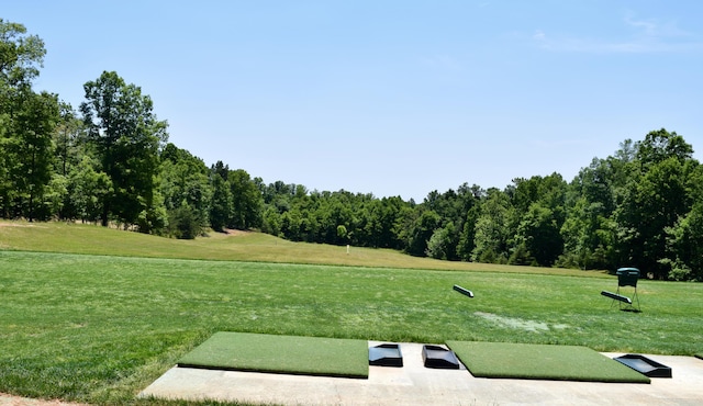 view of property's community featuring a yard