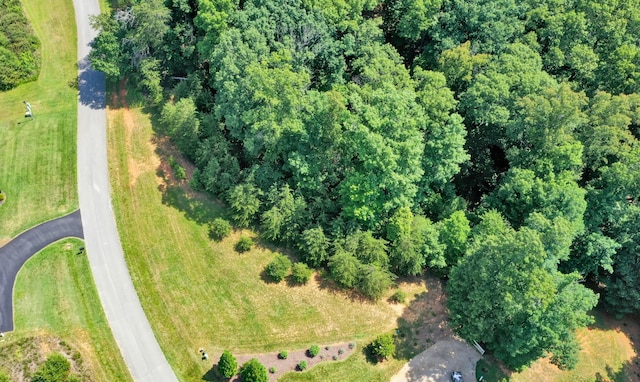 Listing photo 3 for LOT26 Palmetto Bluff Rd, Hardy VA 24101