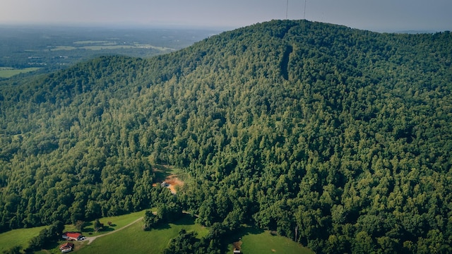 0 Johnson School Rd, Thaxton, VA 24174