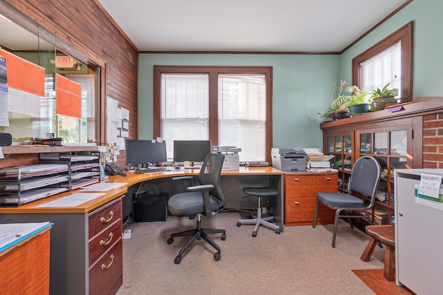 carpeted office space with wood walls and crown molding