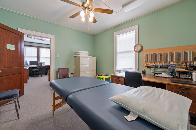 carpeted home office featuring ceiling fan and a healthy amount of sunlight