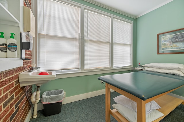 interior space featuring a healthy amount of sunlight, carpet floors, and ornamental molding