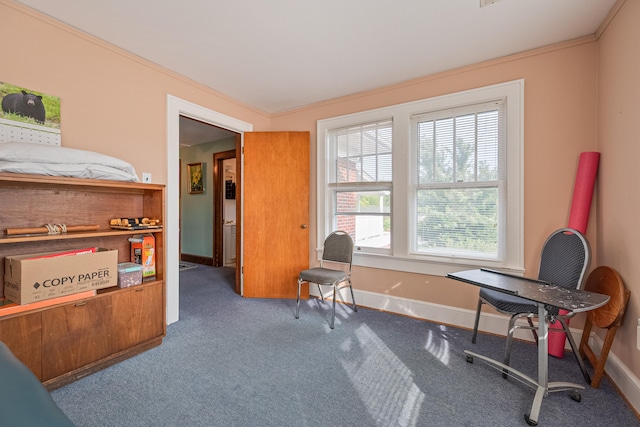 home office featuring carpet flooring and ornamental molding