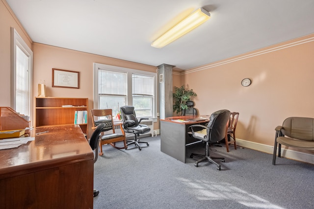 office with ornamental molding and carpet floors