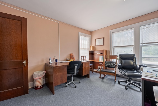 carpeted office space with a wealth of natural light