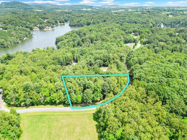 LOT11 Walnut Run Dr, Hardy VA, 24101 land for sale