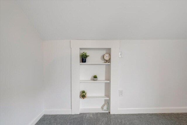 carpeted spare room featuring built in features and lofted ceiling