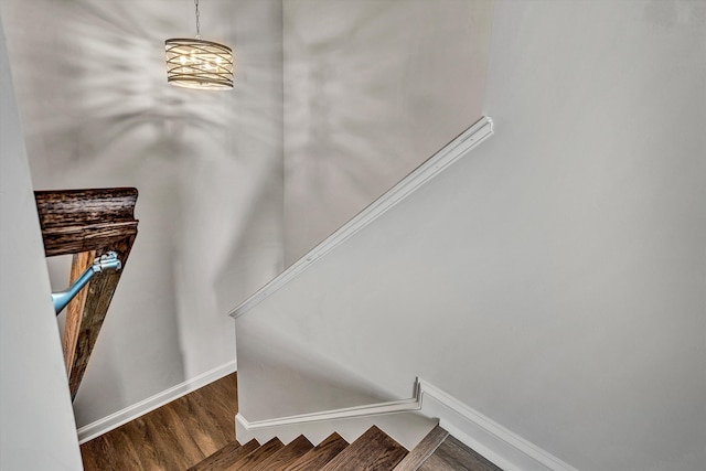 staircase featuring wood-type flooring