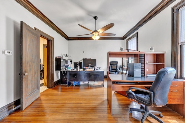 office space with ceiling fan, hardwood / wood-style flooring, and crown molding