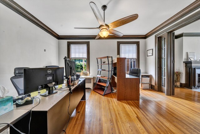 office area featuring ceiling fan, crown molding, and light wood-type flooring