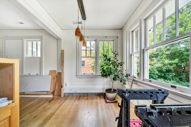 exercise area featuring plenty of natural light and light hardwood / wood-style floors