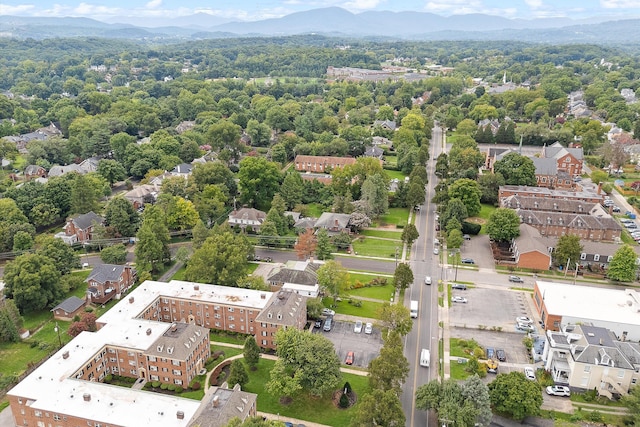 birds eye view of property with a mountain view