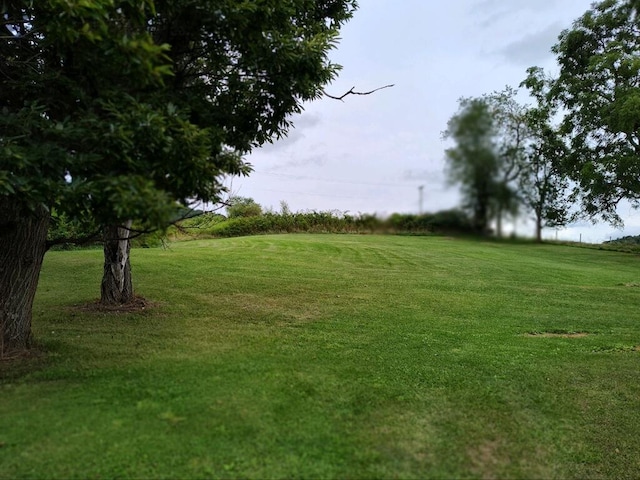 view of yard with a rural view