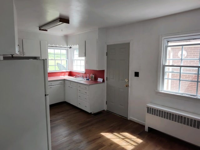 kitchen with white fridge, radiator, a healthy amount of sunlight, and dark hardwood / wood-style flooring