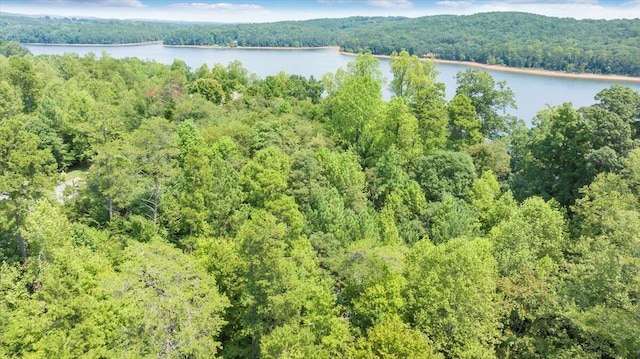 LOT121 Chase Run, Lynch Station, VA 24571