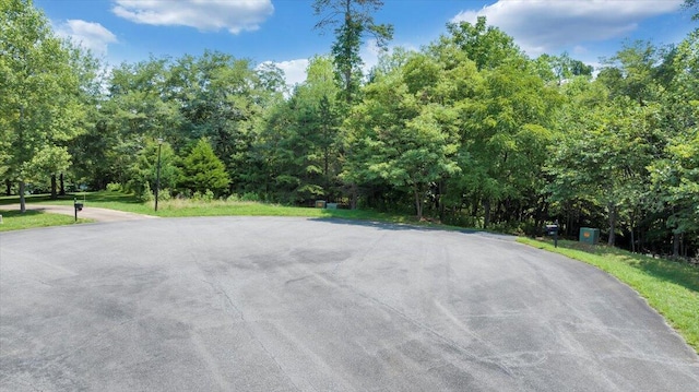LOT121 Chase Run, Lynch Station, VA 24571