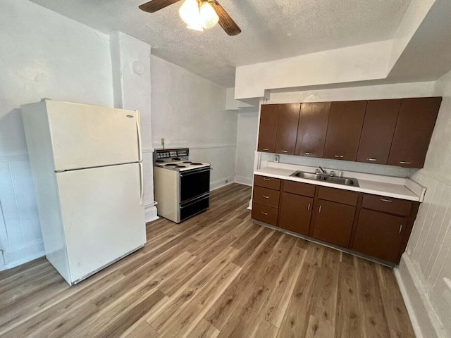 kitchen featuring white appliances, dark brown cabinets, ceiling fan, sink, and light hardwood / wood-style floors