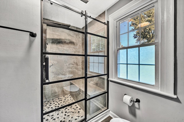 bathroom featuring a healthy amount of sunlight and a shower with shower door