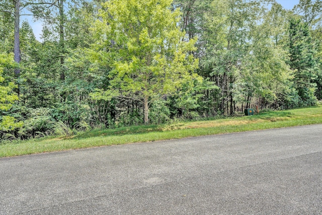 Listing photo 3 for LOT112 Chase Run, Lynch Station VA 24571