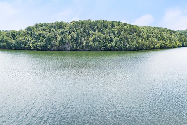LOT68 Runaway Bay Rd, Lynch Station, VA 24571