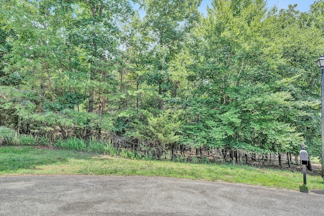 LOT68 Runaway Bay Rd, Lynch Station, VA 24571