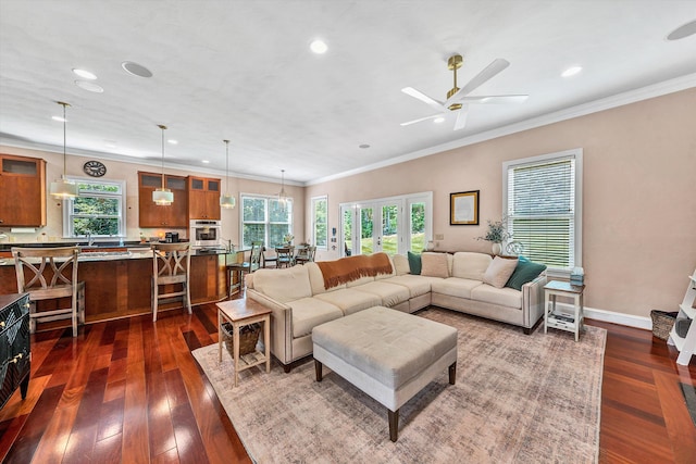 living room featuring ornamental molding, dark hardwood / wood-style floors, and ceiling fan