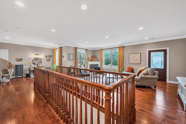 hall featuring dark hardwood / wood-style floors and crown molding