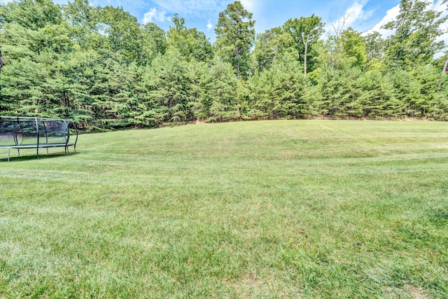 view of yard featuring a trampoline