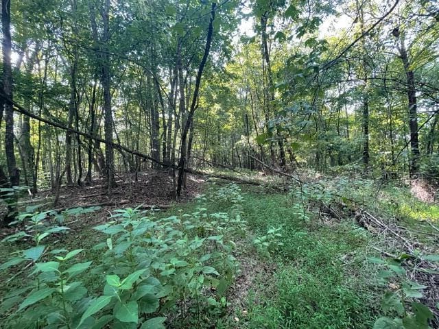 0 Pine Hall Rd, Martinsville VA, 24112 land for sale