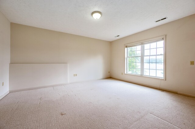 empty room with carpet flooring and a textured ceiling