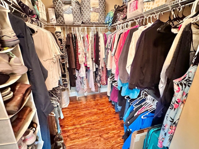 walk in closet featuring wood-type flooring