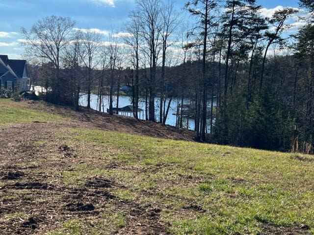 Listing photo 2 for LOT2 Harbour Island Ln, Moneta VA 24121