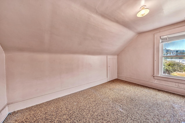 additional living space featuring vaulted ceiling and carpet